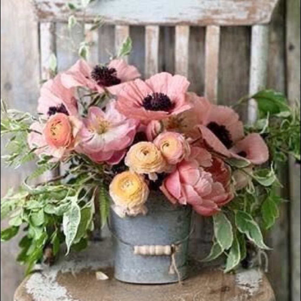 Meet your Posher, Darlene